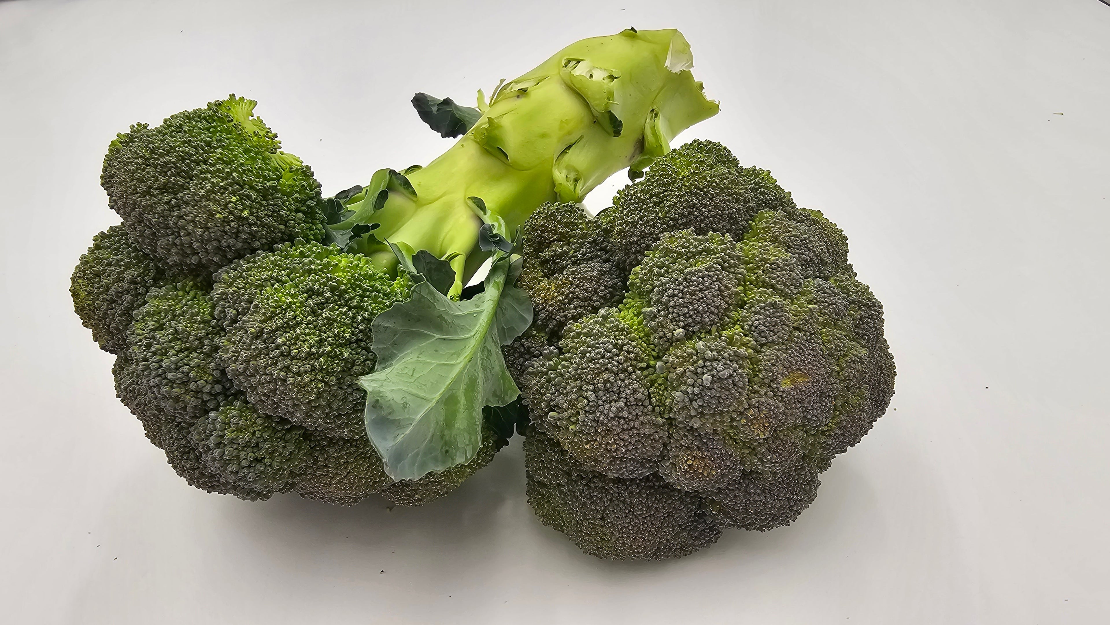 Organic Broccoli Crown