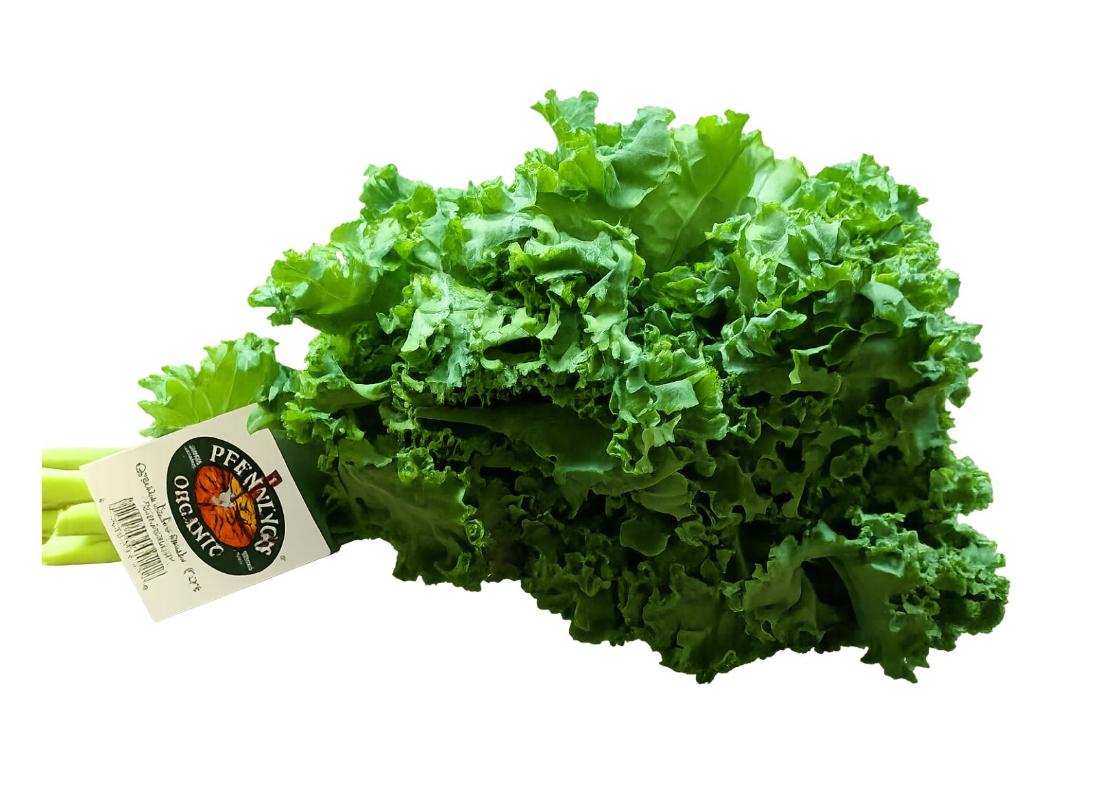 Organic Green Kale Bunch