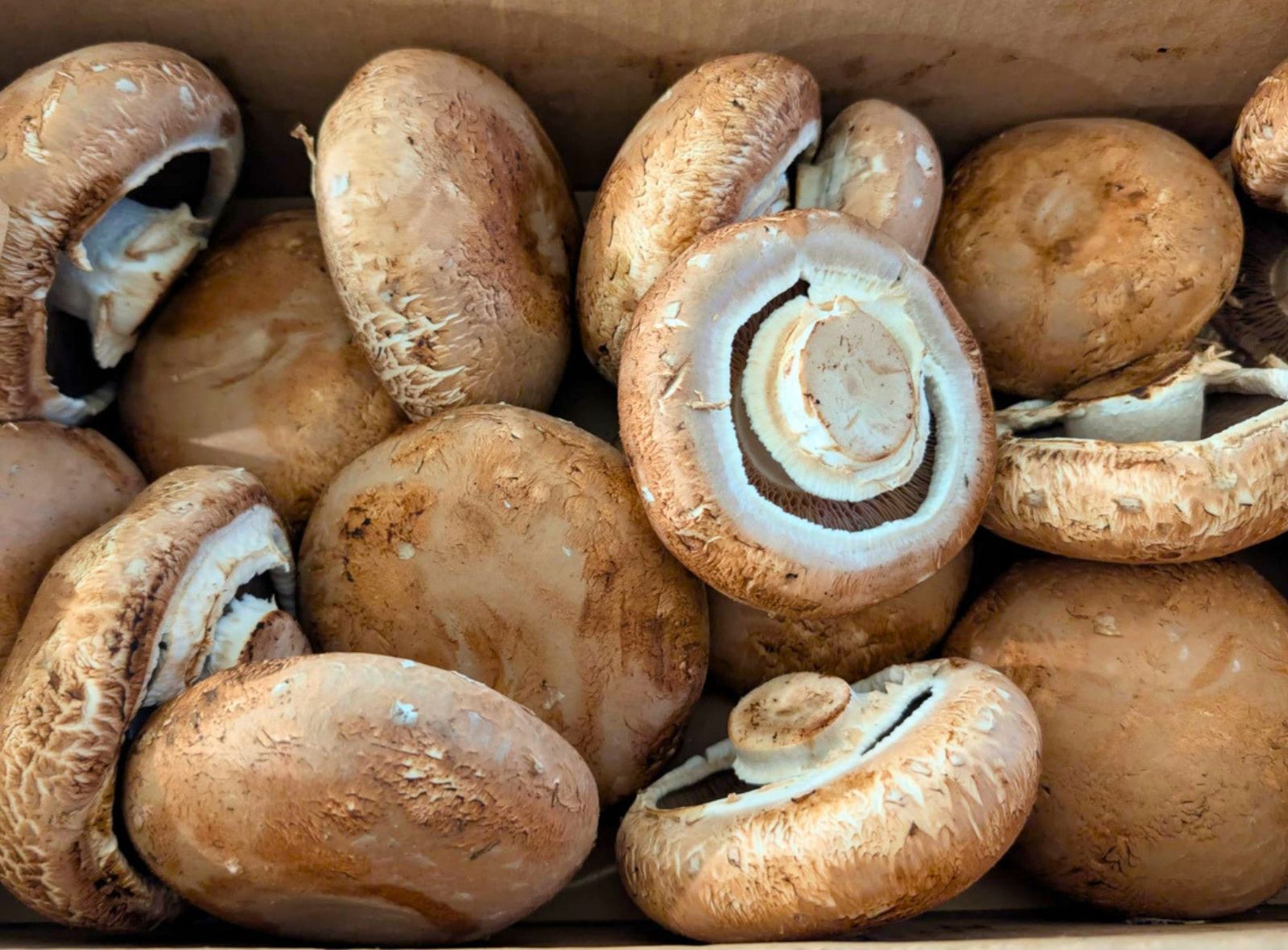 Organic Portobello Mushroom Caps (Approx. 6 oz)