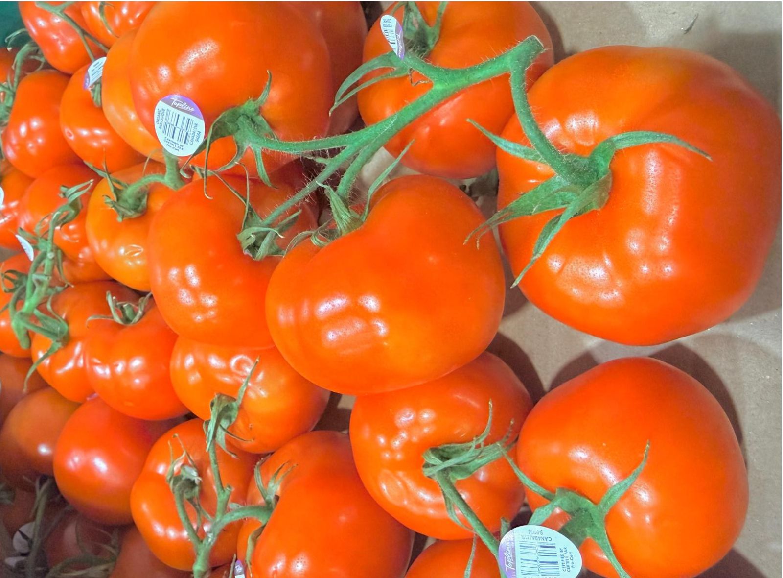 Organic Vine-Ripened Tomatoes (Approx. 1 lb)